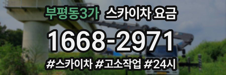 부평동3가 스카이차 요금