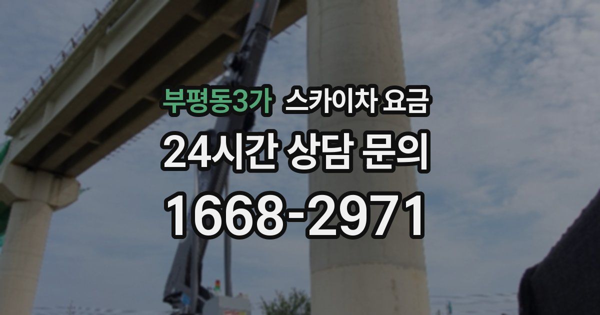 부평동3가 스카이차 요금