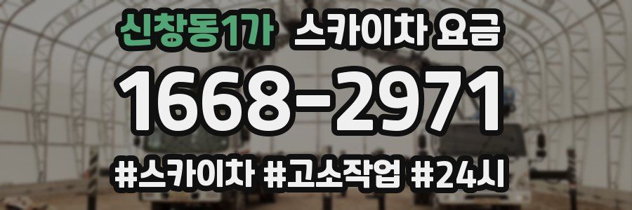 신창동1가 스카이차 요금