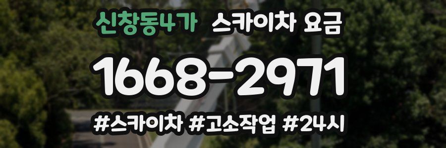 신창동4가 스카이차 요금