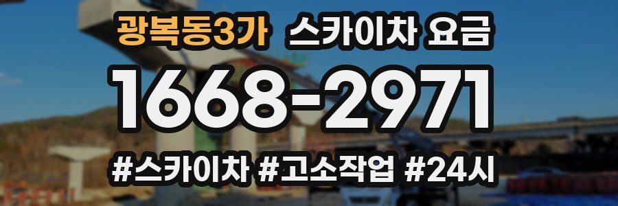 광복동3가 스카이차 요금