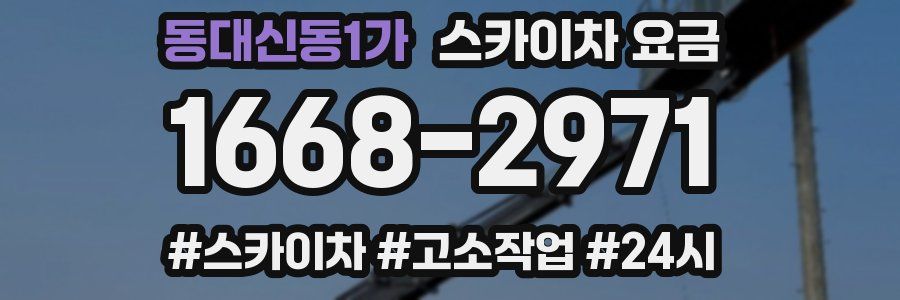 동대신동1가 스카이차 요금