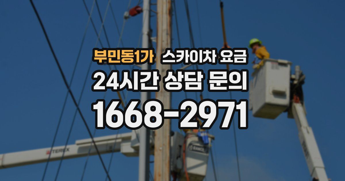 부민동1가 스카이차 요금