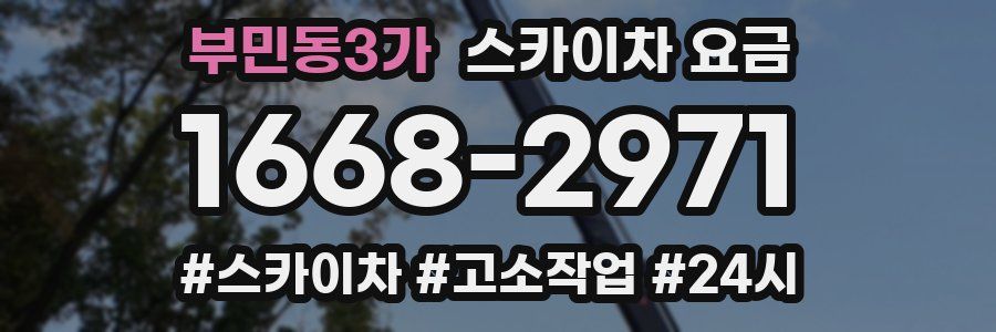 부민동3가 스카이차 요금