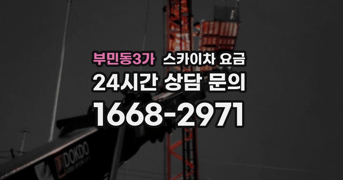 부민동3가 스카이차 요금