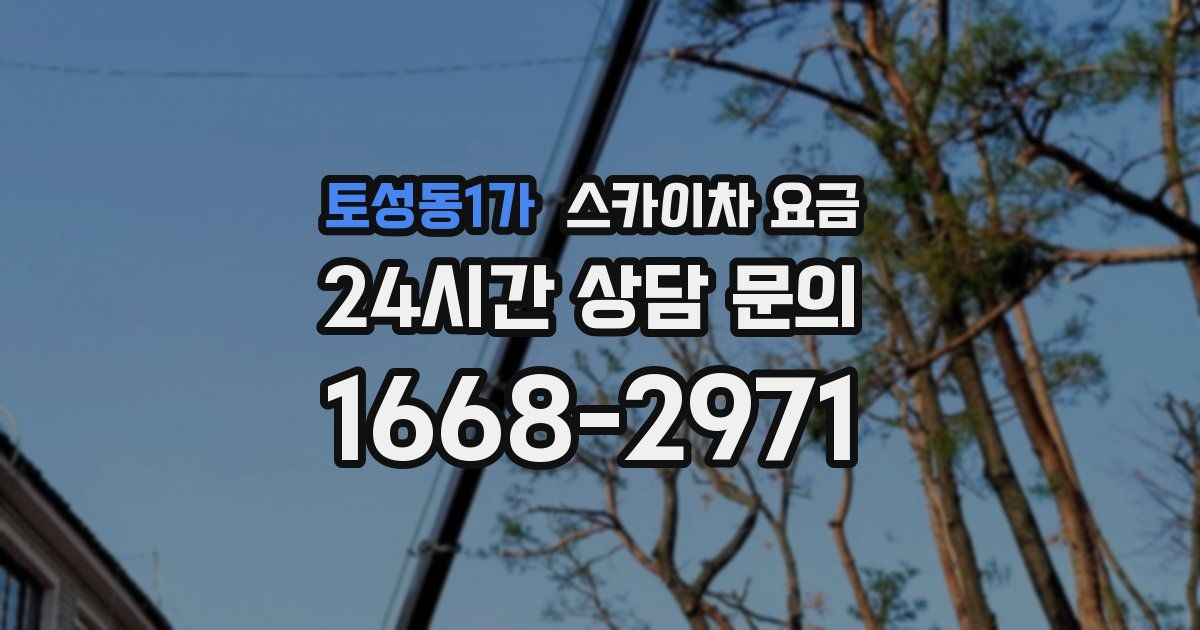 토성동1가 스카이차 요금