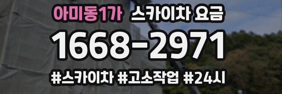 아미동1가 스카이차 요금