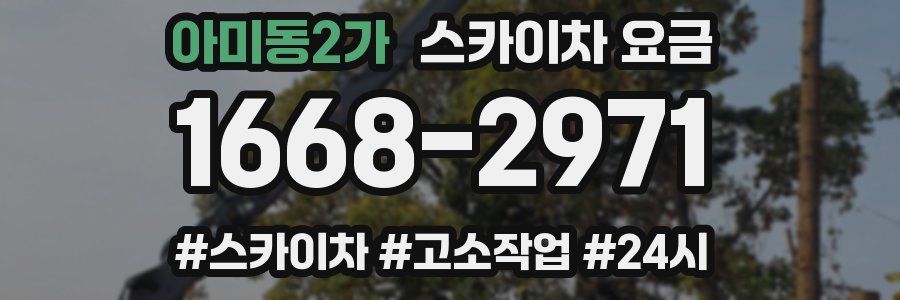 아미동2가 스카이차 요금