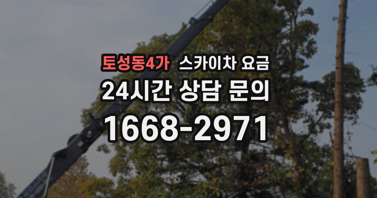 토성동4가 스카이차 요금