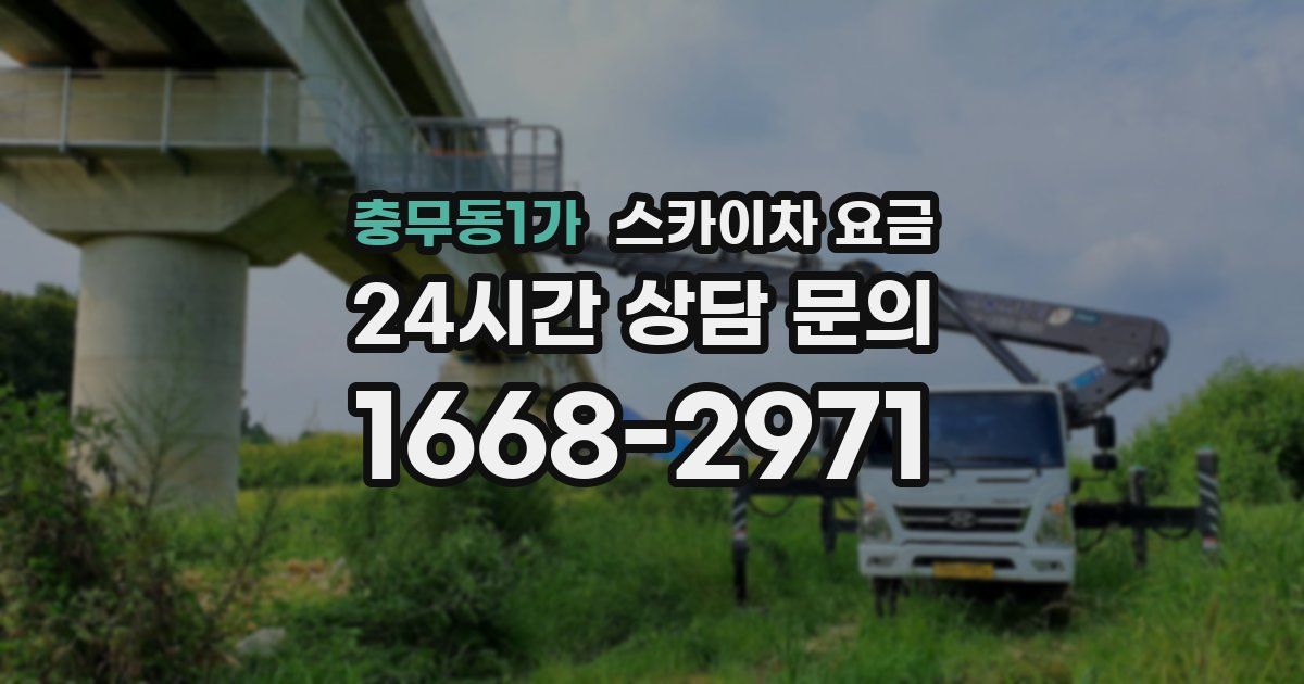 충무동1가 스카이차 요금