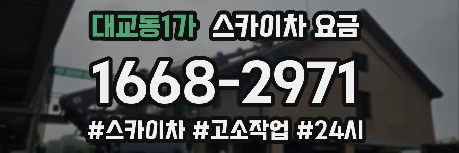 대교동1가 스카이차 요금