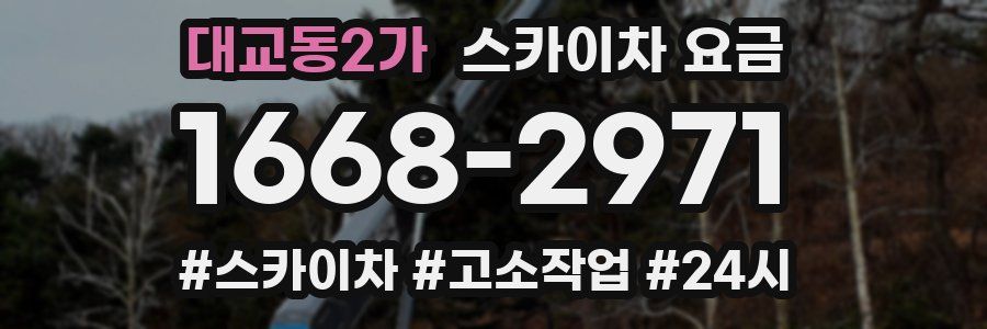 대교동2가 스카이차 요금