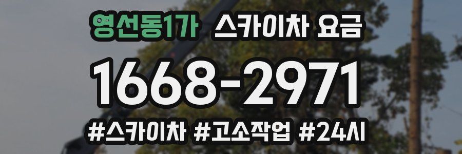 영선동1가 스카이차 요금