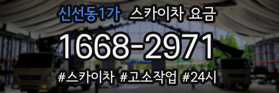 신선동1가 스카이차 요금