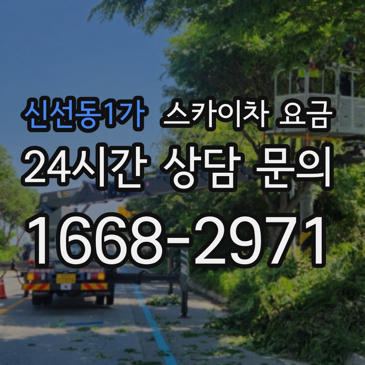 신선동1가 스카이차 요금