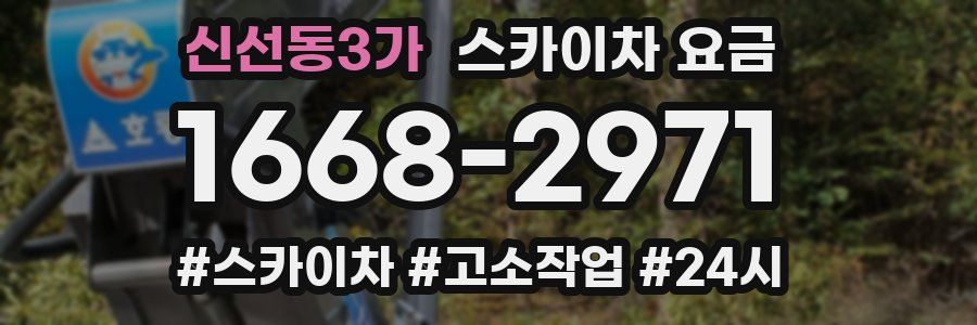 신선동3가 스카이차 요금