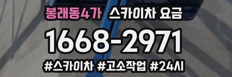 봉래동4가 스카이차 요금
