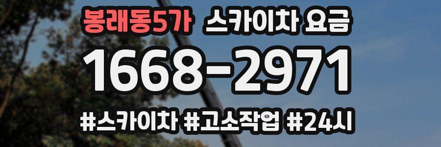 봉래동5가 스카이차 요금
