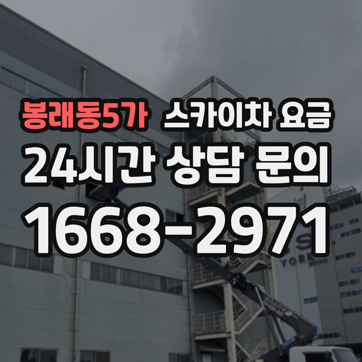 봉래동5가 스카이차 요금