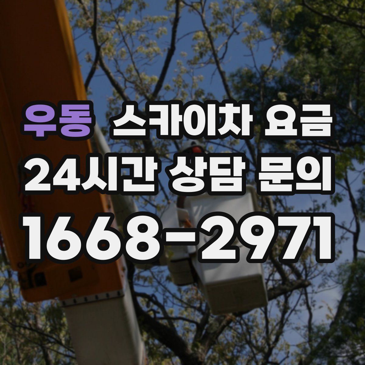 우동 스카이차 요금