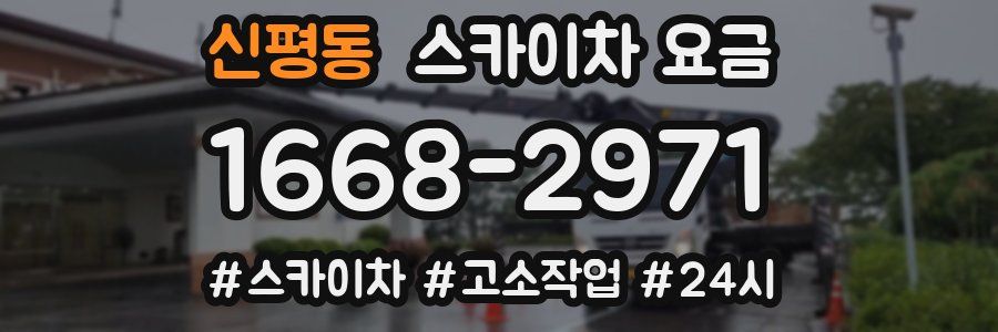 신평동 스카이차 요금