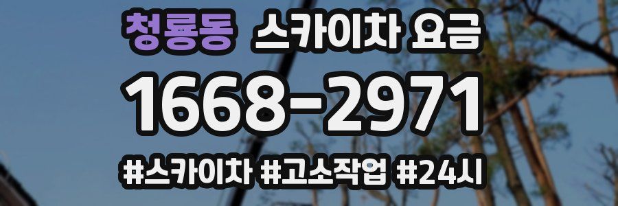청룡동 스카이차 요금