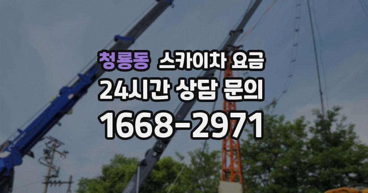 청룡동 스카이차 요금