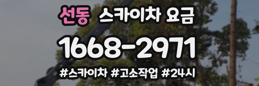 선동 스카이차 요금