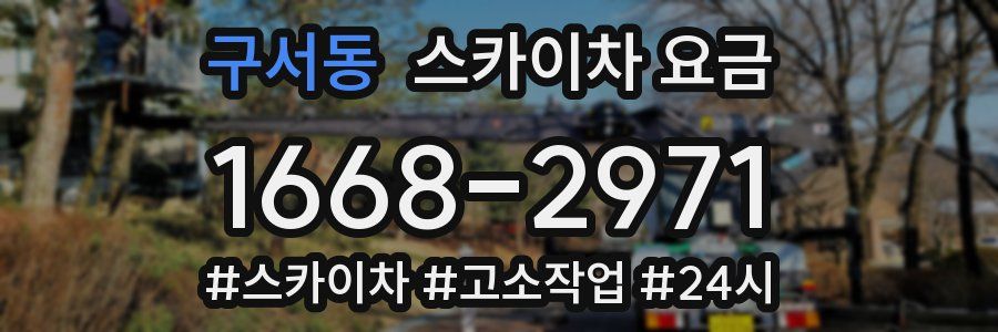 구서동 스카이차 요금