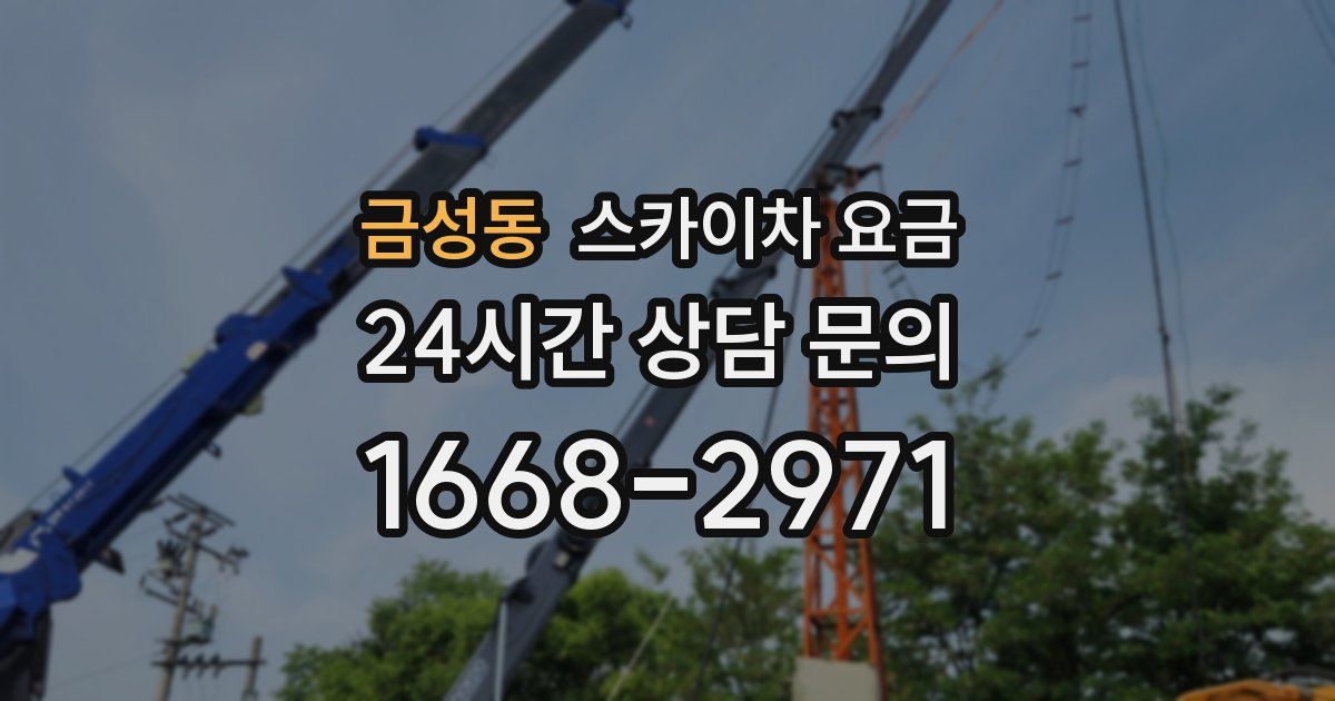 금성동 스카이차 요금
