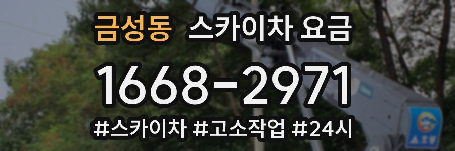 금성동 스카이차 요금