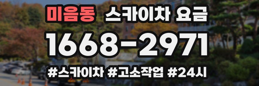 미음동 스카이차 요금