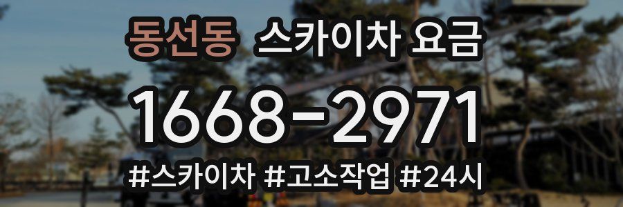 동선동 스카이차 요금