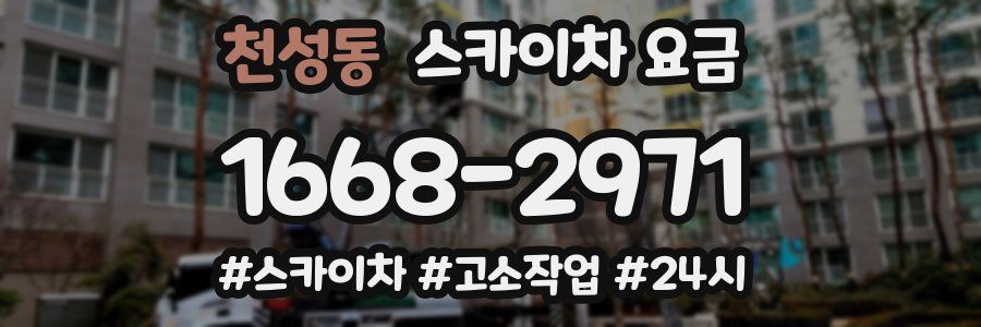 천성동 스카이차 요금