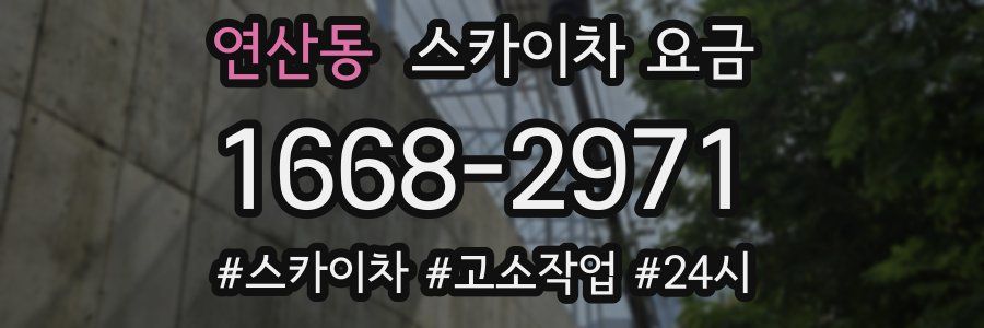 연산동 스카이차 요금
