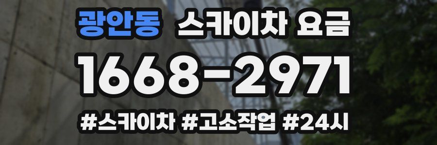 광안동 스카이차 요금