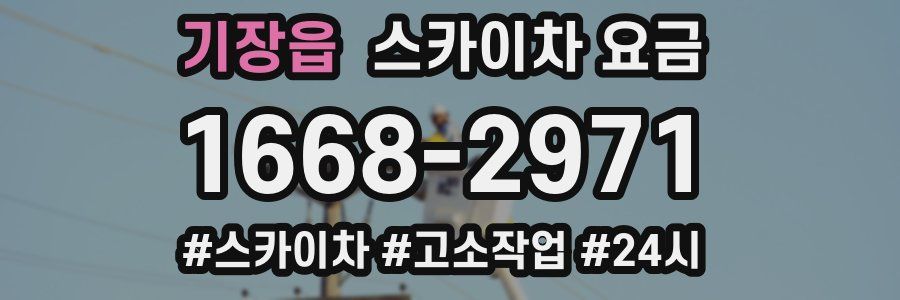 기장읍 스카이차 요금