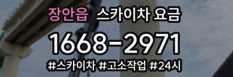 장안읍 스카이차 요금