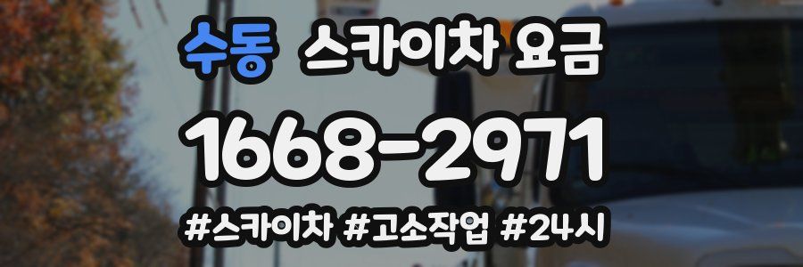 수동 스카이차 요금