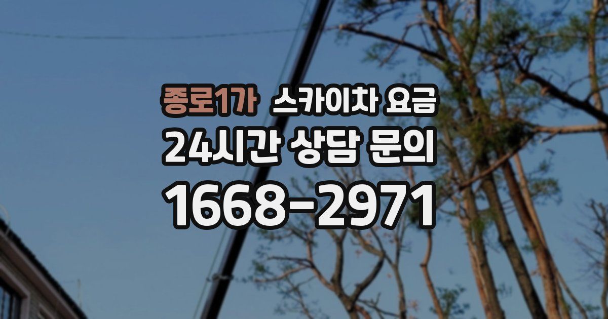 종로1가 스카이차 요금