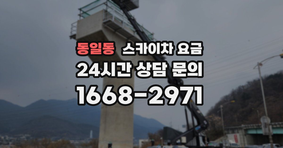 동일동 스카이차 요금