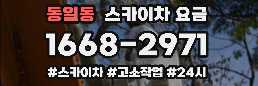 동일동 스카이차 요금
