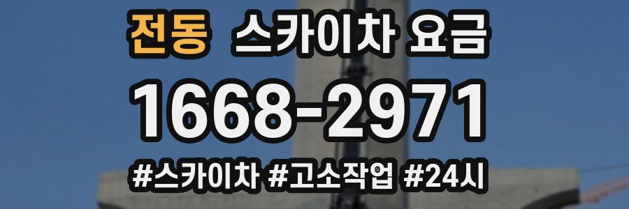 전동 스카이차 요금