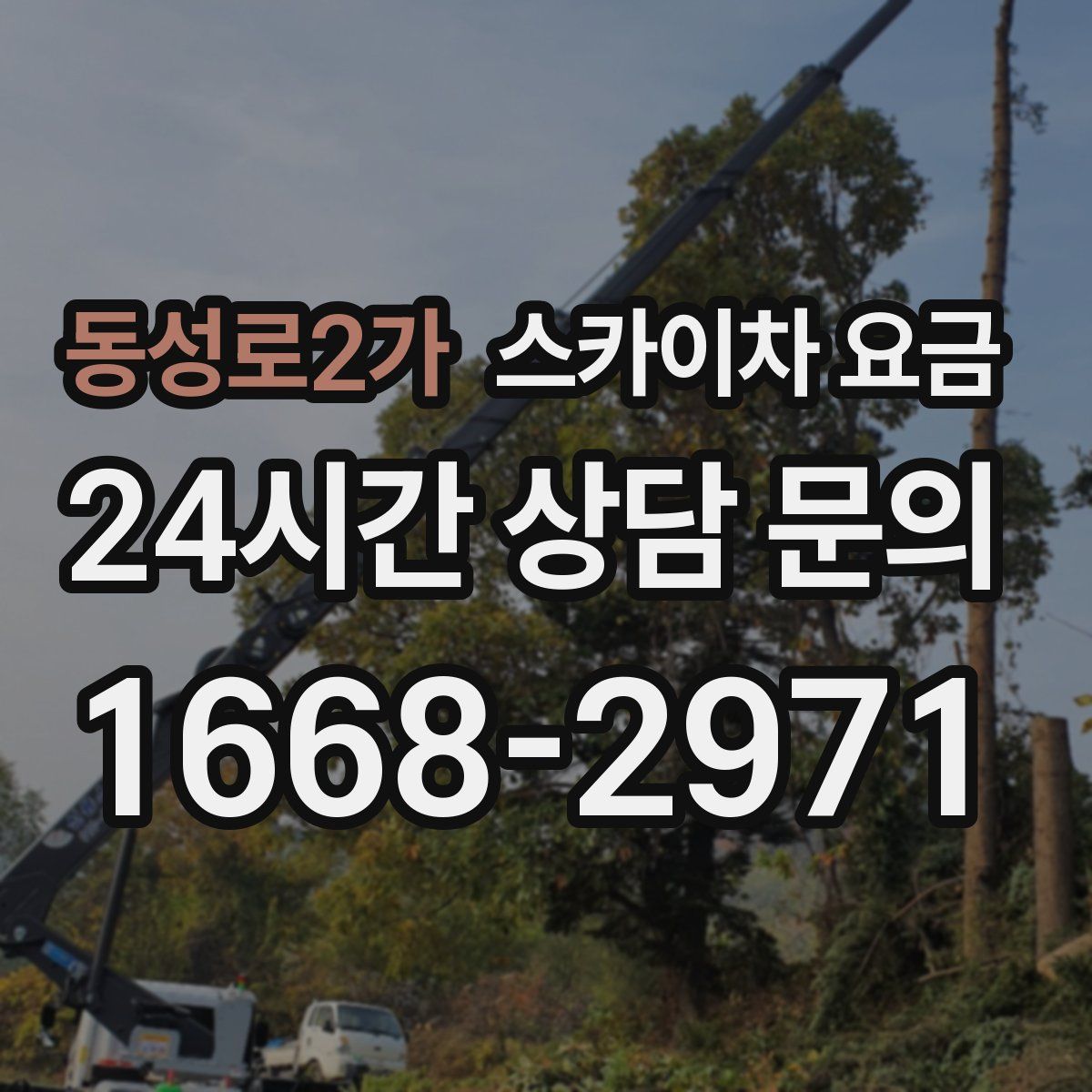 동성로2가 스카이차 요금