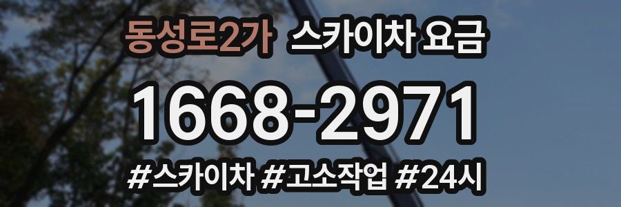 동성로2가 스카이차 요금