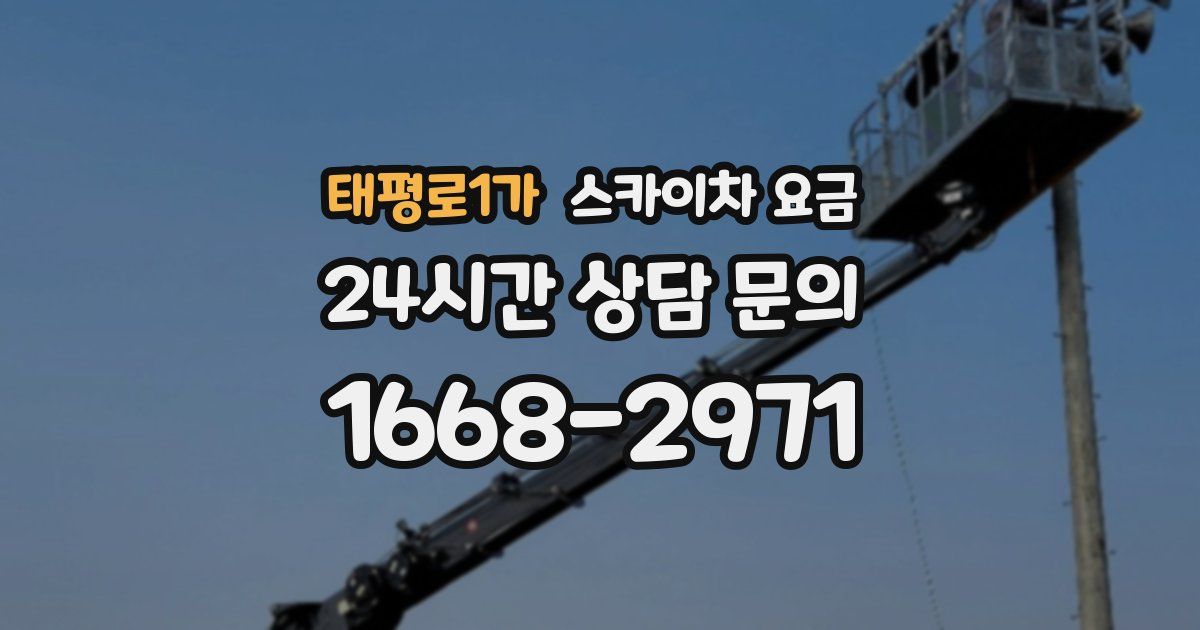 태평로1가 스카이차 요금