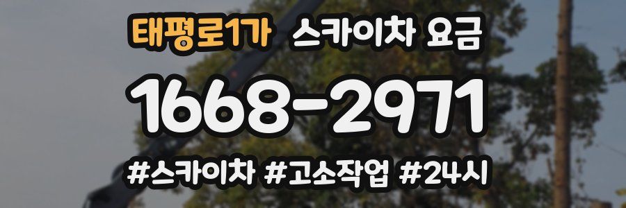 태평로1가 스카이차 요금