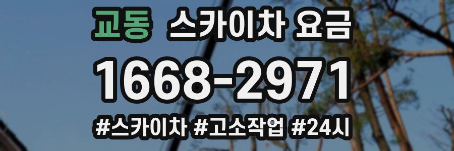 교동 스카이차 요금