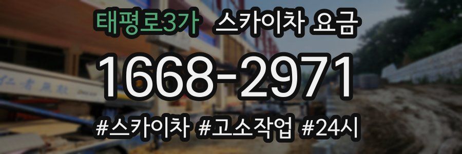 태평로3가 스카이차 요금