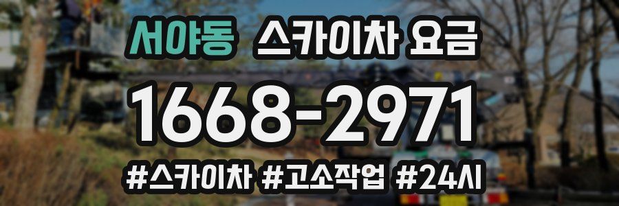 서야동 스카이차 요금